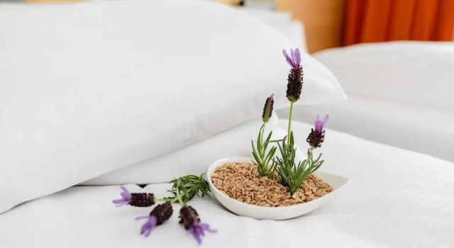 Best Western Hotel am Schlosspark, Book Hotel Niederwiesa Saxony