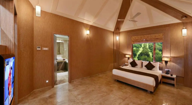 Люкс Sarovar Portico Gir