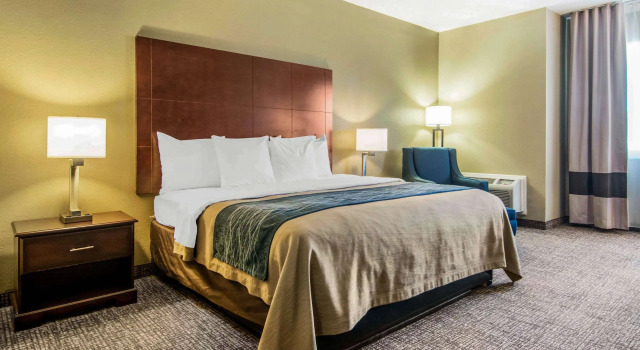 Двухместный номер Standard Comfort Inn Atlanta Downtown South