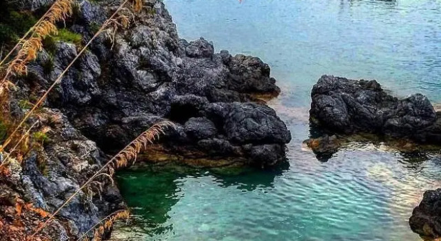 La Maison Fleurie, Prenota Hotel San Nicola Arcella Calabria