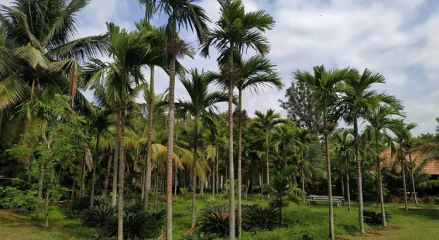 Vana Resorts, Book Hotel Bangalore Bangalore