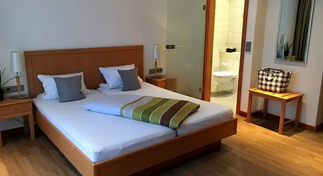 Номер Standard Landidyll Hotel zum Freden