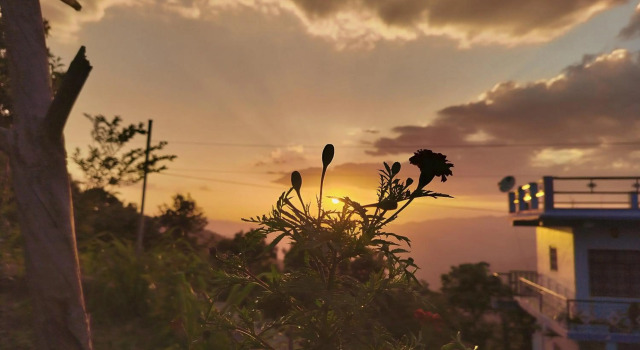 Sharda Stay's Binsar Himalayas, Rezervovat Hotel Binsar Uttarakhand