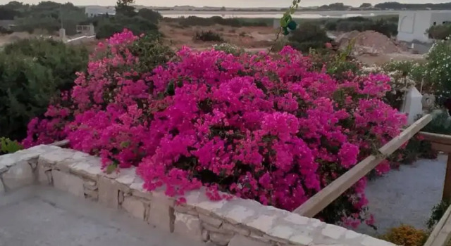 Коттедж Naxos Alyko Traditional Vacation House Mitatos