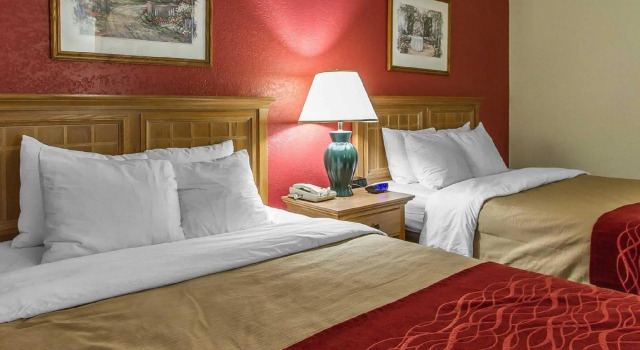 Четырёхместный номер Standard EverSpring Inn & Suites