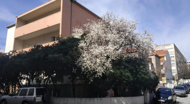 Split Symphony Garden: Modern, new Apartment (4+1), 5 min walk to ˝Firule˝ SAND BEACH, 12 min walk to CITY CENTER