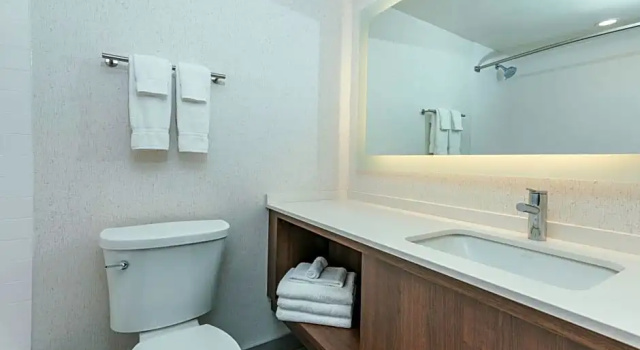 Двухместный номер Standard с видом на реку Holiday Inn Kingston - Waterfront by IHG