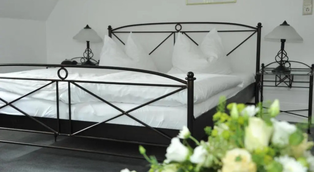 Номер Comfort Landhotel Sophienhöhe