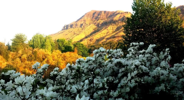 Emafweni, Забронировать Отель Каткин-Парк Drakensberg