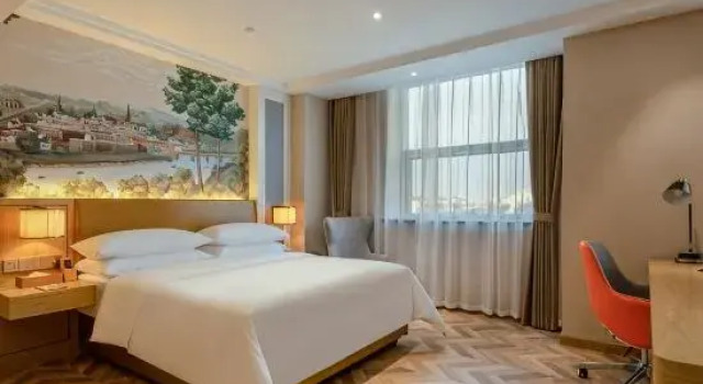 Люкс Deluxe Vienna Classi Hotel (BeiJing New International Exhibition Capital Airport store)