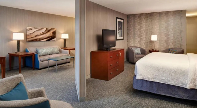 Люкс Courtyard by Marriott Detroit Downtown