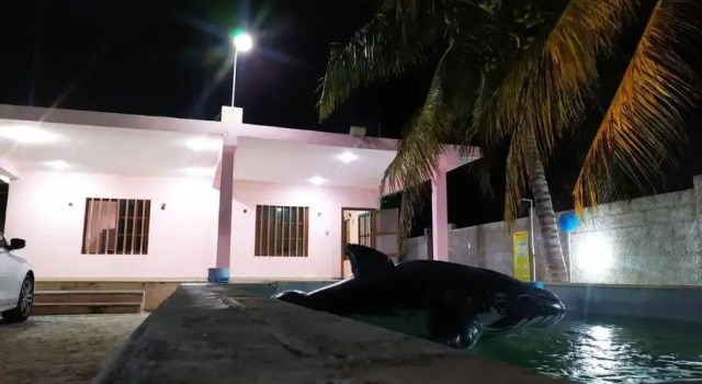 Casa M&P: Casa Amplia cerca del mar de Chelem