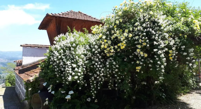 Коттедж Quinta do Mirante