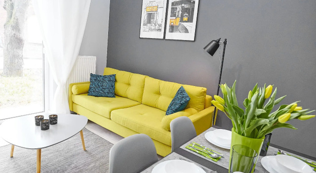 Modern Grey