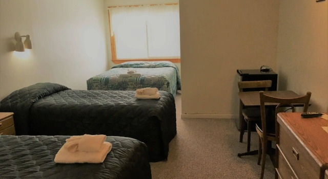 Chalet Killington