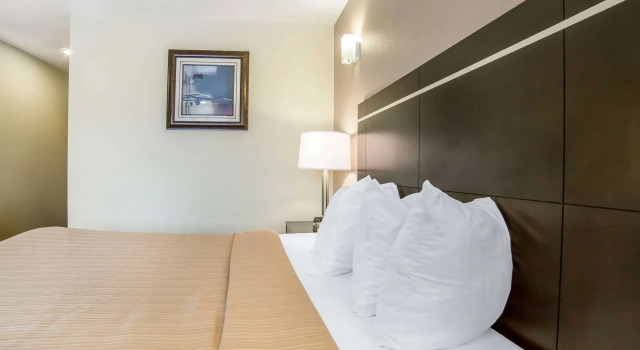 Двухместный номер Standard Quality Inn & Suites Elko