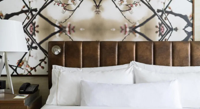 Четырёхместный номер Standard The Westin Crystal City Reagan National Airport