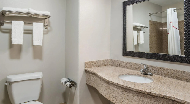 Двухместный люкс Red Roof Inn & Suites Lake Charles
