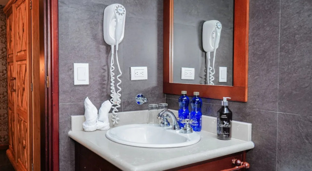 Номер Presidential Uzhupud Garden Hotel & Lodge