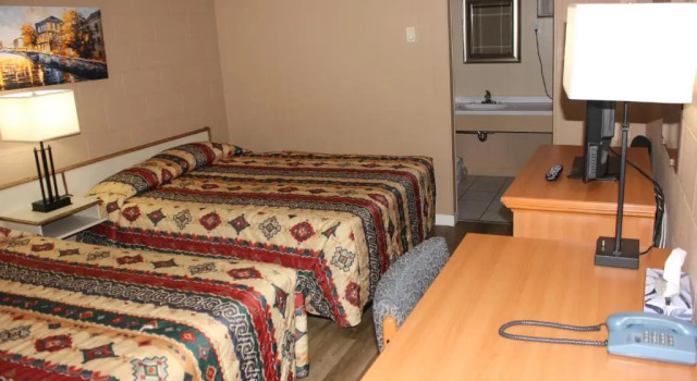 Четырёхместная студия Flamingo Motel