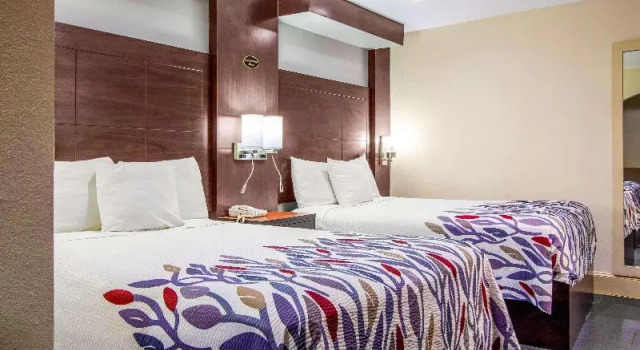 Номер Standard MorningSide Inn