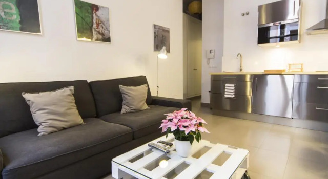 Апартаменты c 1 комнатой Apartamentos Málaga Picasso