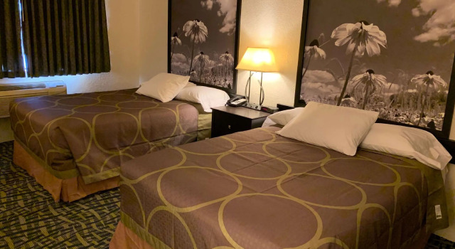 Четырёхместный номер Standard Super 8 by Wyndham Shakopee