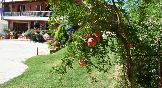 Трёхместный номер Standard Hotel Meteora