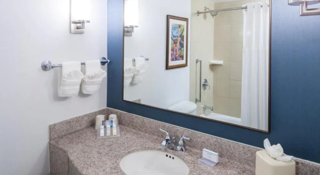 Полулюкс Hilton Garden Inn Dallas/Allen