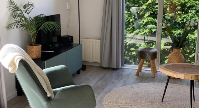 Шале modern chalet in putten 87