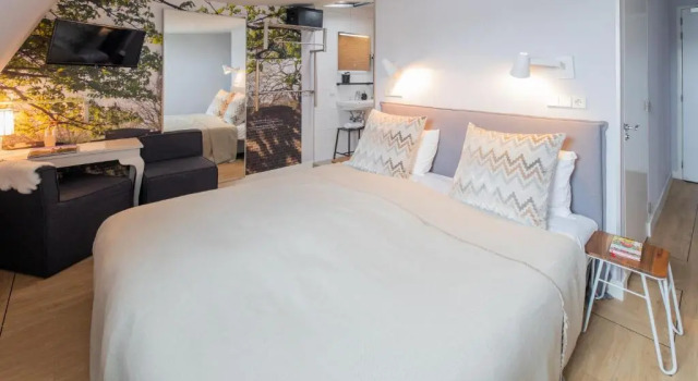 Двухместный номер Superior Stadsvilla Hotel Mozaic Den Haag