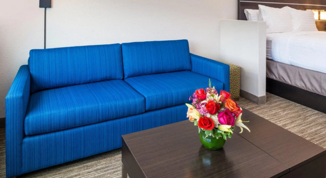 Люкс Holiday Inn Express & Suites Tampa North - Wesley Chapel by IHG
