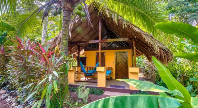 Бунгало Standard Caribe Town Bungalows