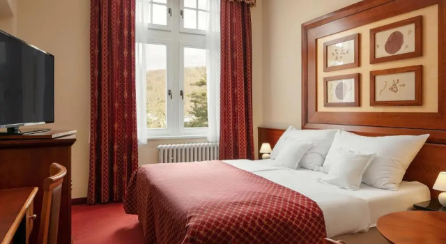 Двухместный номер Standard Villa Smetana Spa & Wellness Resort
