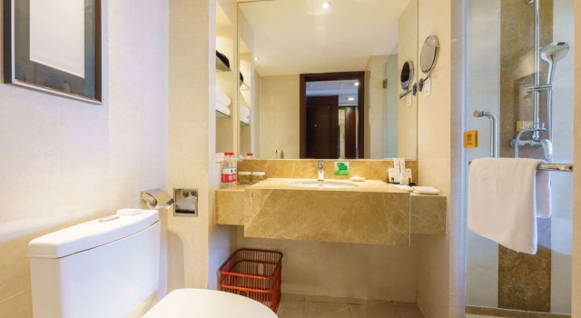 Двухместный номер Executive Oasis Grand Hotel