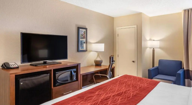 Номер Standard Comfort Inn University