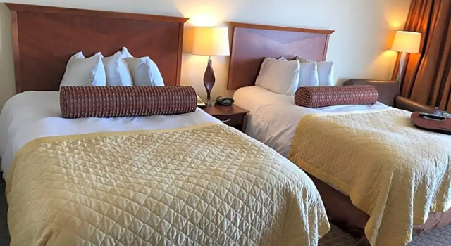 Номер Executive Norfolk Country Inn and Suites