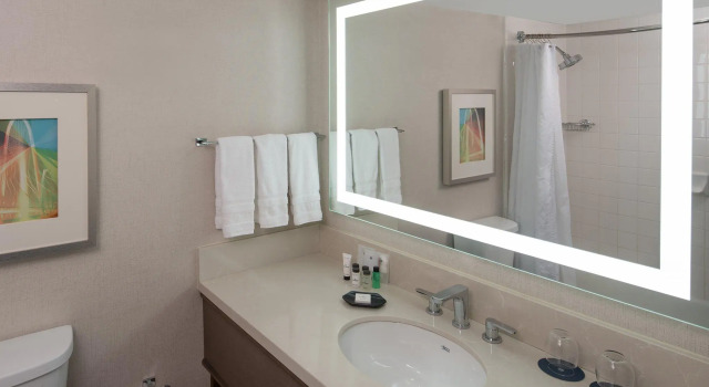 Четырёхместный номер Standard Sheraton Dallas Hotel by the Galleria