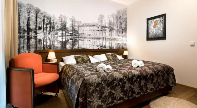 Двухместный номер Superior Hotel Chateau Orlice