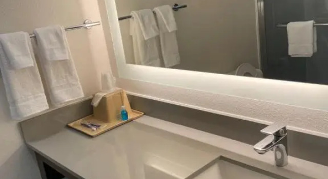 Трёхместный номер Standard Palace Inn Blue - Garth Rd