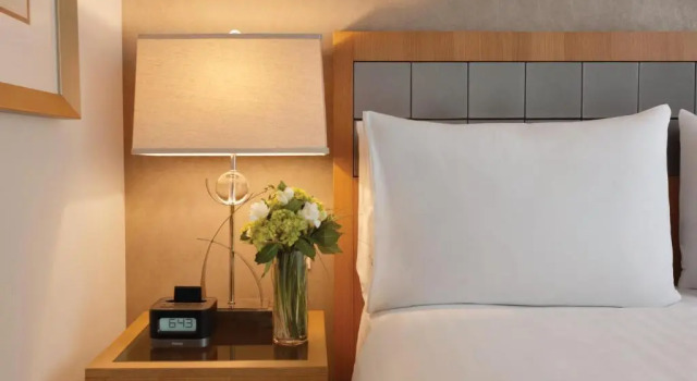 Двухместный номер Executive Executive Hotel Le Soleil New York