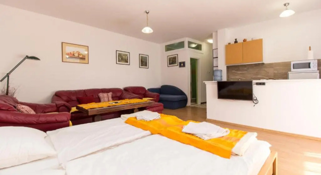 Apartment Jasna