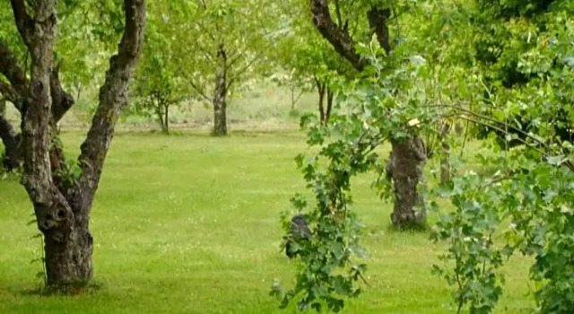 Moen Oekologisk Bed & Breakfast