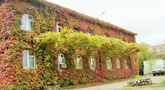 Pink Apartment near Airport