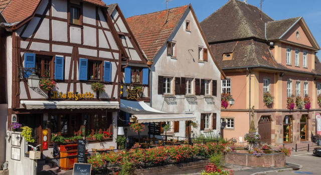 Apartment in Alsace Near Europa-park, 预订 公寓 当巴克拉维尔 Alsace Wine Route