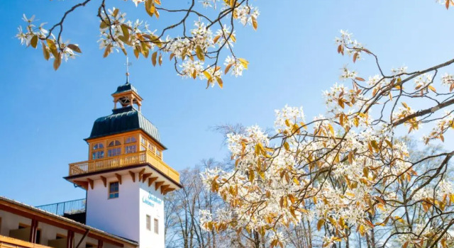 Yachthotel Chiemsee, Varaa Hotelli Hotellit Baijeri pysäköinnillä, Pysäköinti