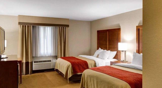 Четырёхместный номер Standard Comfort Inn & Suites Covington - Mandeville