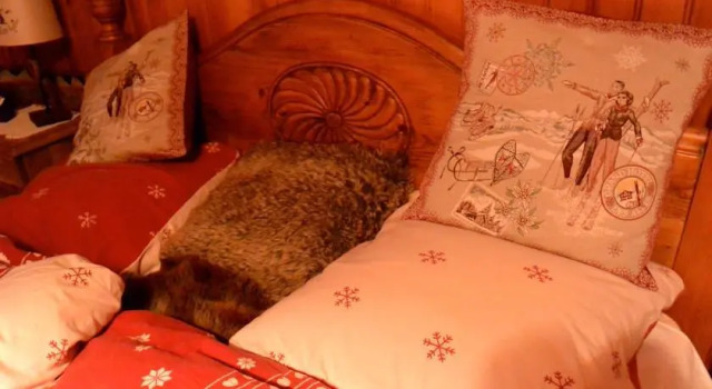 BnB Altitude Attitude, Prenota Bed & breakfast Anniviers 