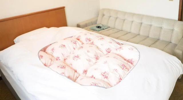 Двухместный номер Standard Hikone Station Hotel