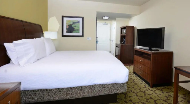 Двухместный номер Premium Hilton Garden Inn Greensboro Airport